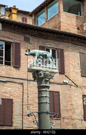 Romolo e Remo statua in piazza tolomei a siena, Italia Foto Stock