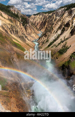 Il grand canyon del Parco Nazionale di Yellowstone Foto Stock