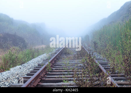 Una fitta nebbia copre un vecchio binario ferroviario e il paesaggio lungo la costa californiana a Santa Cruz, Stati Uniti. Foto Stock