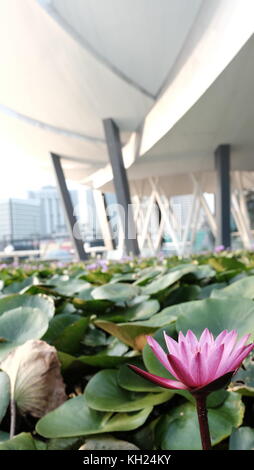 Lotus a artscience museum, marina bay waterfront, Singapore Foto Stock