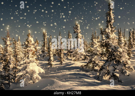 Coloratissima scena invernale con snow-capped alberi di natale nella foresta, cumuli di neve, la caduta neve e stelle in abete rosso Foto Stock