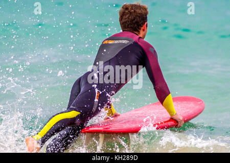 Un surfista entra in acqua a Bondi Beach, Sydney, NSW, Australia Foto Stock