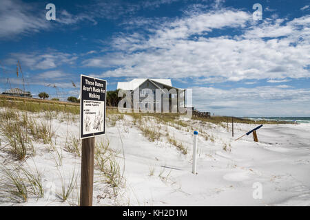 Protetti Dune di sabbia lungo il Golfo Spiagge della contea, Florida USA Foto Stock