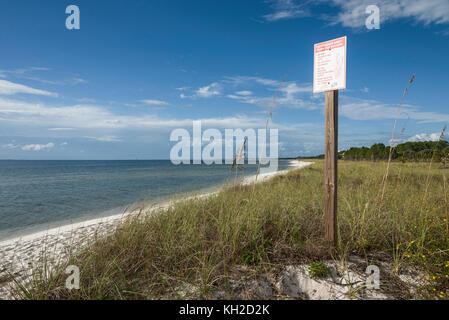 Protetti Dune di sabbia lungo il Golfo Spiagge della contea, Florida USA Foto Stock