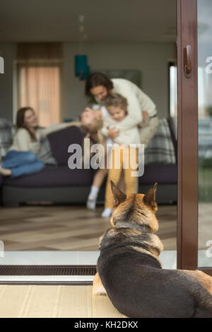 Vista posteriore, cane in piedi fuori casa, famiglia felice con bambini che si divertono a giocare abbracciando sullo sfondo, pastore tedesco come migliore amico, stile di vita accogliente Foto Stock
