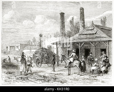 Vecchia illustrazione di una fabbrica di zucchero in Mauritius. Da Girardet, publ. in Le Tour du Monde, Parigi, 1863 Foto Stock