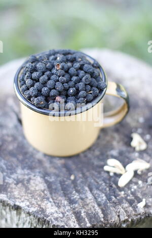 Selvaggia della Tasmania pepperberries nero in una tazza su legno rustico log Foto Stock