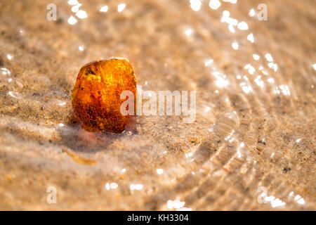 Ambra nel surf del Mar Baltico Foto Stock