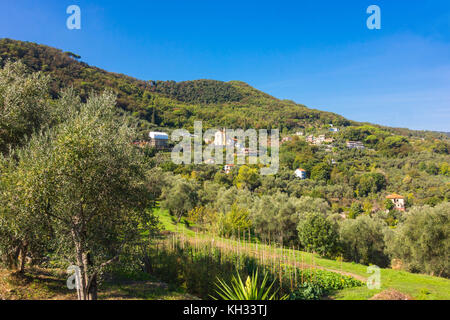 Chiesa di Nozarego arroccato su una collina sopra Santa Margherita Italia Foto Stock