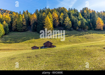 Un telecomando azienda agricola sulle alpi svizzere in autunno - 1 Foto Stock