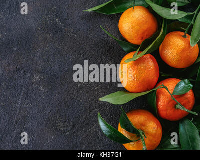 Tangerini, arance, mandarini, clementine, agrumi con foglie di colore nero su sfondo di cemento. Vista superiore o flat-lay. Copia dello spazio. Foto Stock