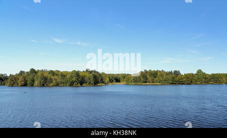 Alberi sulla riva del lago stanfield all'inizio autunno a muscatatuck National Wildlife Refuge, indiana Foto Stock