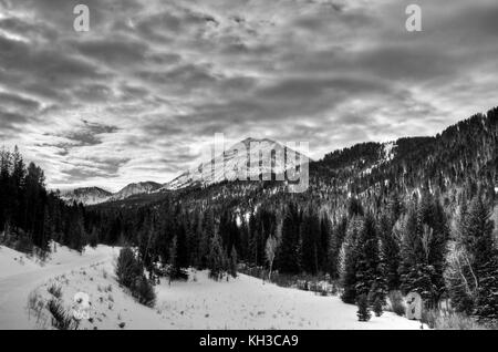 Lungo il sentiero per le motoslitte in grays river, Wyoming, un affluente del fiume Snake. Foto Stock