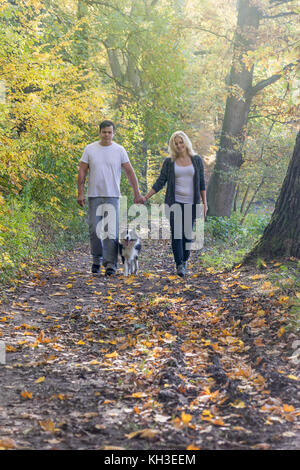 Vista frontale di una coppia di due giovani a piedi attraverso un parco in autunno con un cane. Foto Stock