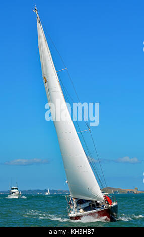 Numero vela: 8345 rosa dei venti Foto Stock