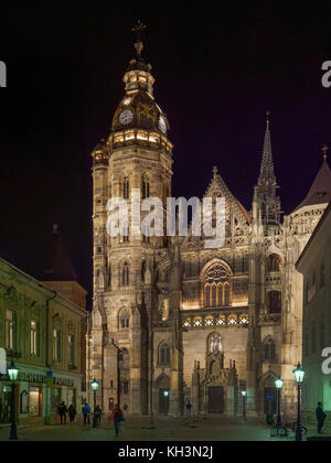 Cattedrale gotica di Santa Elisabetta a Kosice, Kosicky krajj, Slovacchia, Europa Foto Stock