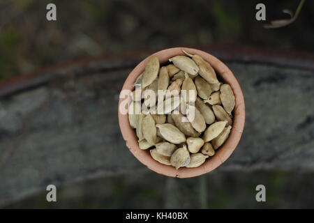 Green i semi di cardamomo in recipiente di argilla su sfondo rustico Foto Stock