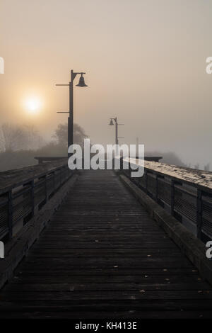 Nebbia fitta su Fraser Fiume di steveston in Richmond, British Columbia, Canada Foto Stock