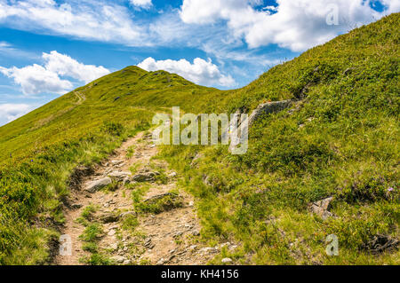 Il percorso in salita alla vetta della montagna cresta. splendida estate natura paesaggio con cielo nuvoloso. bellissimo sfondo del turismo Foto Stock