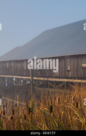 Mattinata nebbiosa sul fiume Fraser presso il britannia boat yard in steveston vicino a Vancouver, Canada Foto Stock