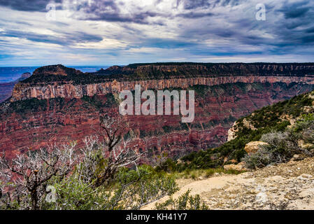 Vista sul Grand Canyon North Rim Arizona Foto Stock