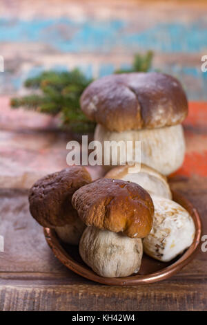 Wild materie commestibili funghi Boletus edulis, gustoso ingrediente per molti piatti vegetariani Foto Stock