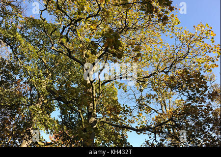 Vari luoghi intorno a merseyside Foto Stock