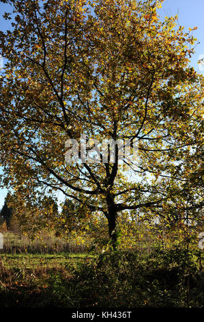 Vari luoghi intorno a merseyside Foto Stock