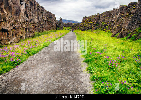 Percorso a piedi in un thingvellir national park, Islanda, europa Foto Stock