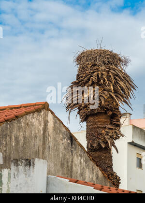 Cicogne in la medievale città portoghese di silves Foto Stock