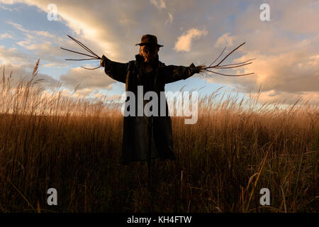 Scary spaventapasseri in un cappello Foto Stock