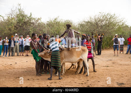 Turmi, Etiopia - 14/11/16: un giovane uomo dalla tribù hamar, prendendo parte alla venuta di età, bull jumping cerimonia (in esecuzione su tori) Foto Stock