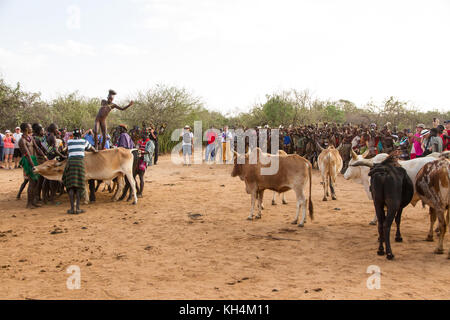 Turmi, Etiopia - 14/11/16: un giovane uomo dalla tribù hamar, prendendo parte alla venuta di età, bull jumping cerimonia (in esecuzione su tori) Foto Stock