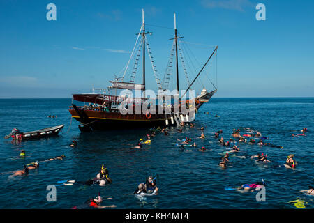 Caraibi, Isole Leeward, Aruba (parte delle Isole ABC), Oranjestad. I turisti che si snorkeling fuori dalla barca Jolly Pirates intorno al naufragio Antilla, Foto Stock