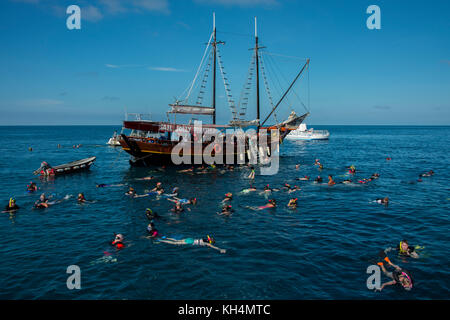 Caraibi, Isole Leeward, Aruba (parte delle Isole ABC), Oranjestad. I turisti che si snorkeling fuori dalla barca Jolly Pirates intorno al naufragio Antilla, Foto Stock