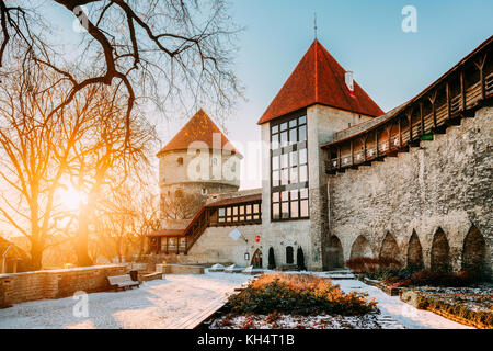 Tallinn, Estonia. l'ex carcere neitsitorn Tower in Old Tallinn medievale torre inaugurale alla winter sunrise nella mattina di sole. sole che splende attraverso woo Foto Stock