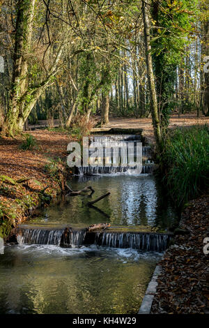 Cascate sul fiume che scorre attraverso un autunnale Tehidy Country Park Cornwall UK. Foto Stock