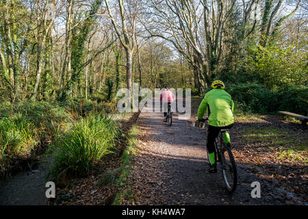 Ciclisti persone che cavalcano lungo una pista in un autunnal Tehidy Country Park Cornwall UK. Foto Stock