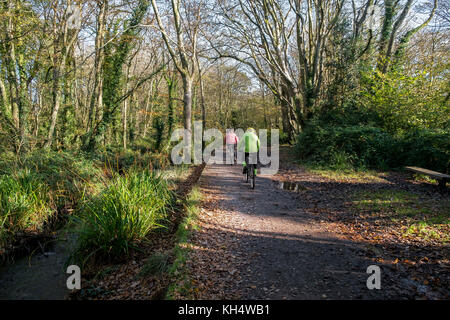 I ciclisti che percorrono una pista in un autunnale Tehidy Country Park Cornwall UK. Foto Stock