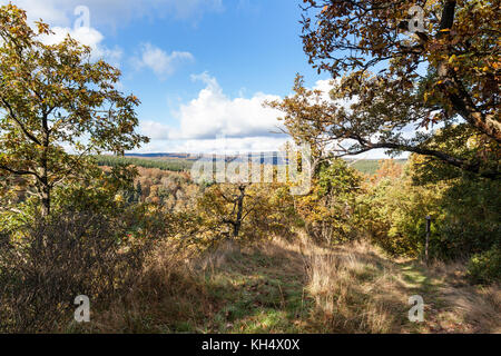 Blick Selketal im Herbst Foto Stock