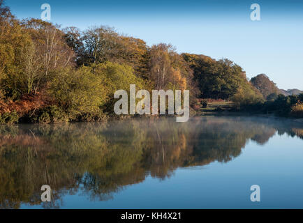 La mattina presto luce su Cadman's Pool, nella nuova foresta, mostra i colori dell'autunno di alberi ed arbusti riflessa nelle acque calme, Hampshire, Regno Unito Foto Stock