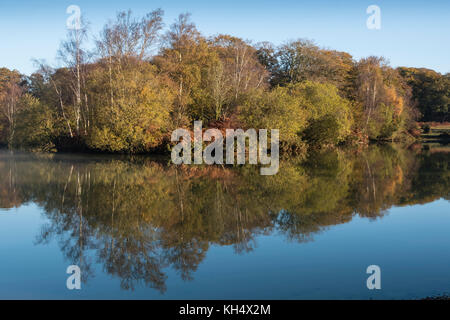La mattina presto luce su Cadman's Pool, nella nuova foresta, mostra i colori dell'autunno di alberi ed arbusti riflessa nelle acque calme, Hampshire, Regno Unito Foto Stock