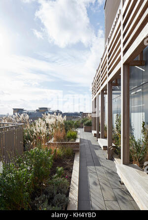 Vista esterna dal giardino arredato. 55 Victoria Street, Londra, Regno Unito. Architetto: duro + Trevillion architetti, 2017. Foto Stock