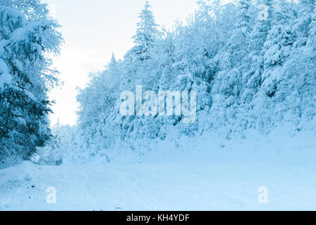 Inverno Sci nel Vermont. alberi e terra completamente coperto di neve Foto Stock