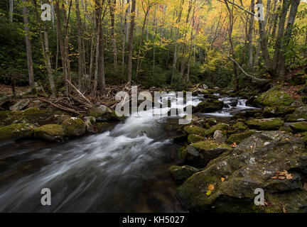 Lynn camp rebbio è uno dei due principali affluenti che compongono il polo centrale del piccolo fiume nella Great Smoky Mountain National Park. Vi si può accedere attraverso il polo centrale il sentiero che segue il flusso. Il piccolo fiume è di circa 60 miglia lungo e molto panoramico. Essa inizia entro il Great Smoky National Park e alla fine si svuota nel fiume Tennessee a fort loudon lago. Foto Stock