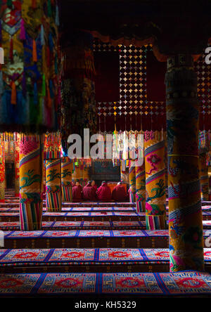 I monaci la preghiera e la meditazione all'interno del monastero di Rongwo, Tongren County, Longwu, Cina Foto Stock