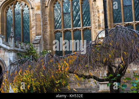 Primo piano dettaglio di grande St Marys Church, la chiesa dell'Università di Cambridge city centre di Cambridge, Regno Unito. Foto Stock