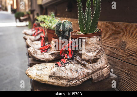 Cool idea di fioriere realizzato di scarponi per home giardinaggio Foto Stock