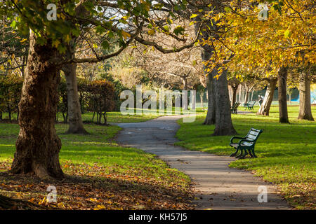 Pomeriggio autunnale in st Ann ben giardini, hove, Inghilterra. Foto Stock