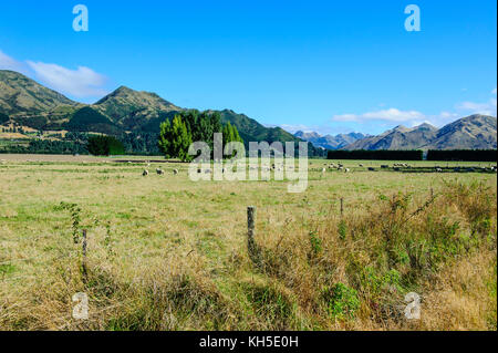 Terreni agricoli lungo il passaggio di Lewis, Isola del Sud, Nuova Zelanda Foto Stock